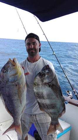 Big Bream and Snapper.jpg Big Bream and Snapper.jpg